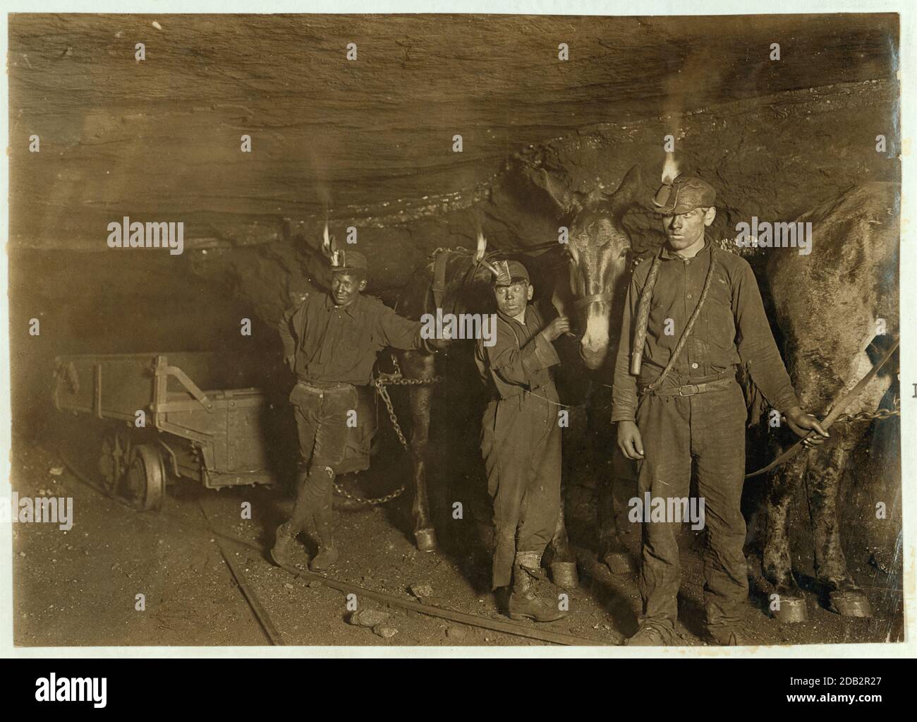 Drivers and Mules, Gary, W. Va., Mine, Where much of the mining and