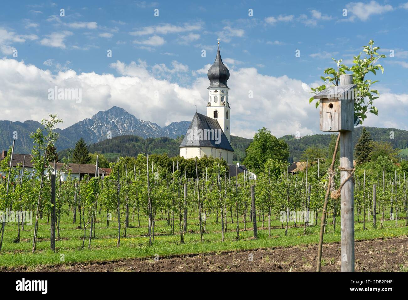 The church of Feldkirchen in the village of Ainring in summer, Upper Bavaria, Germany. In the far background the mountains Lattengebirge und Hochstaufen Stock Photo