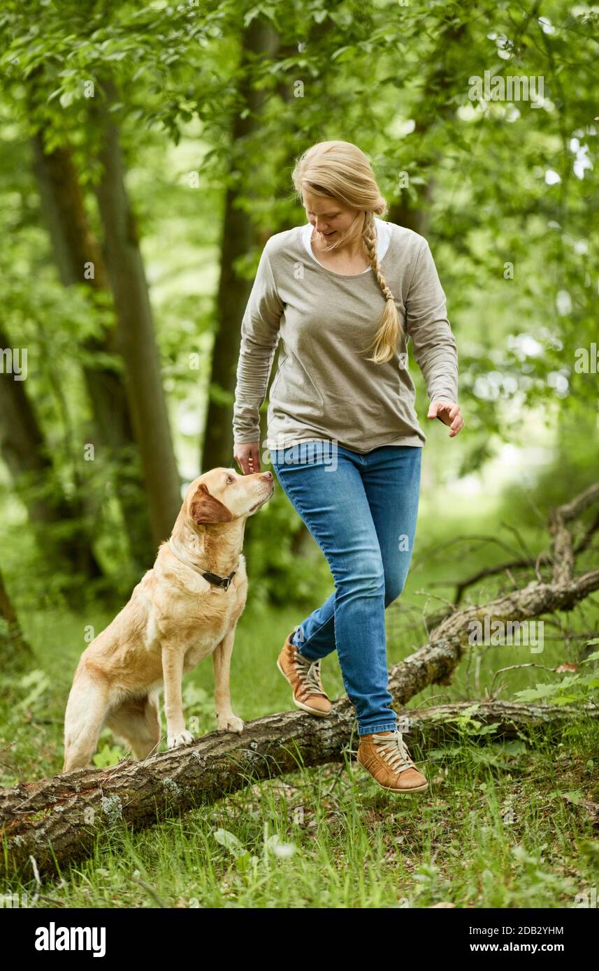 Woman and Labrador Retriever climbig over tree trunk. Not for animal guide books until 9/2022 Stock Photo