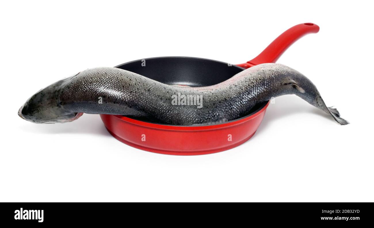 Cooking fish in frying pan isolated on white background Stock Photo - Alamy