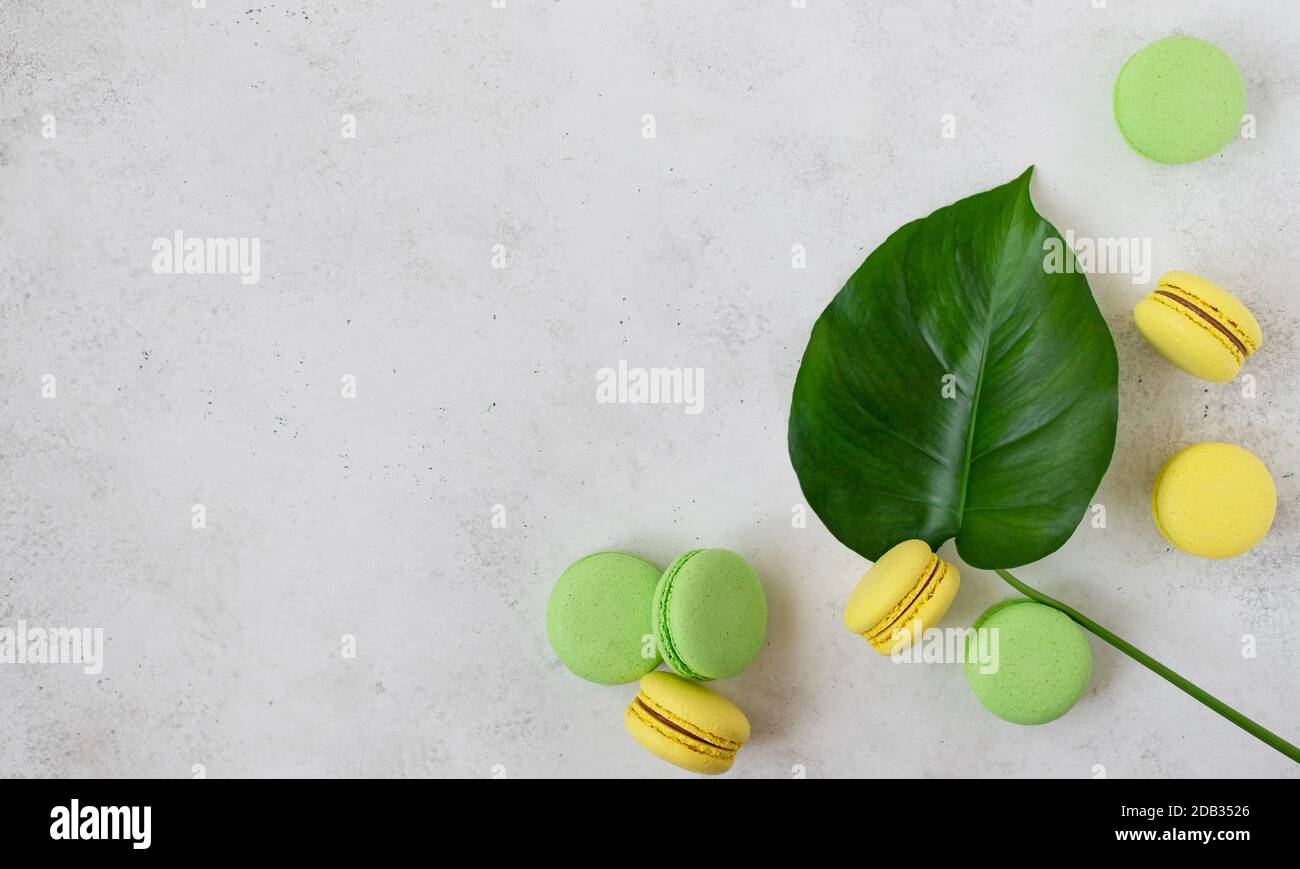 colorful macarons on a white concrete background. copy space Stock Photo