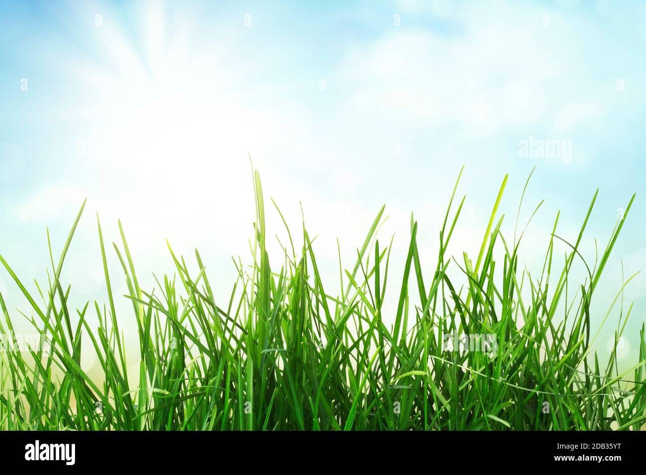 green grass and sunny blue sky Stock Photo - Alamy