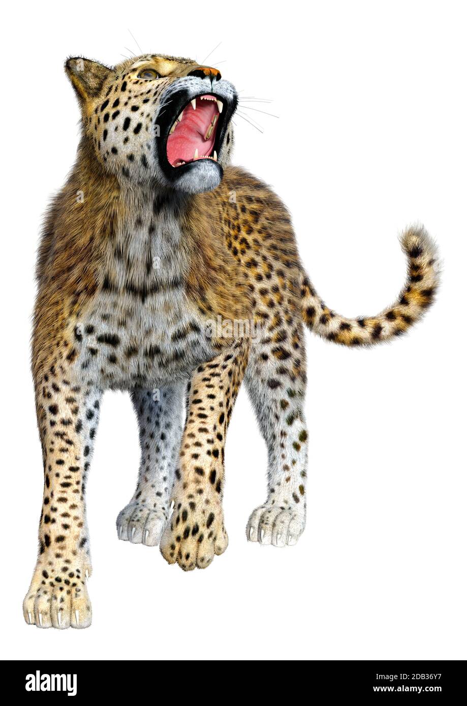 3D rendering of a big cat leopard isolated on white background Stock ...