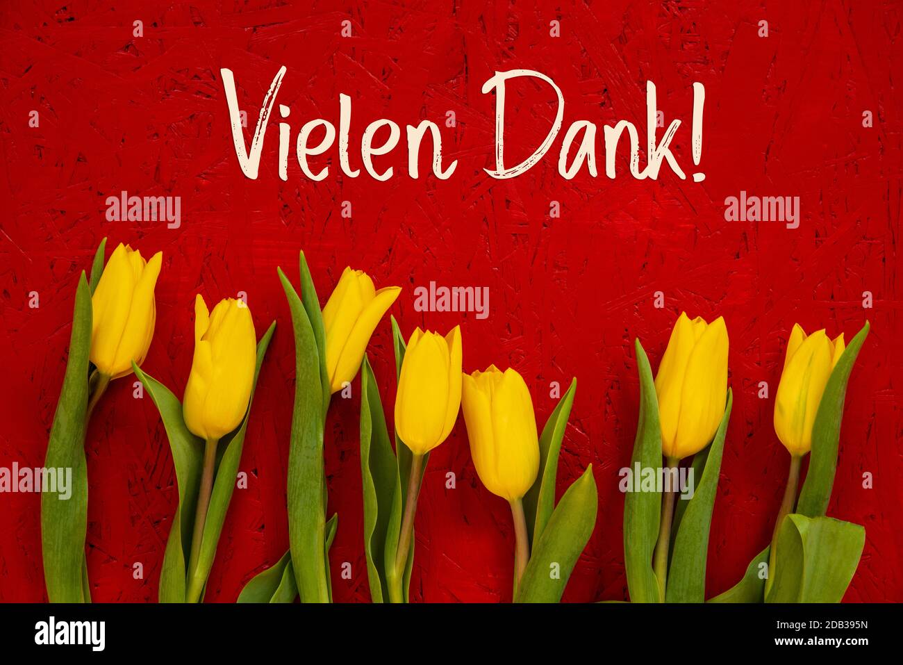 Red Wooden Background With German Text Vielen Dank Means Thank You. Yellow Tulip Flowers In Spring Season Stock Photo