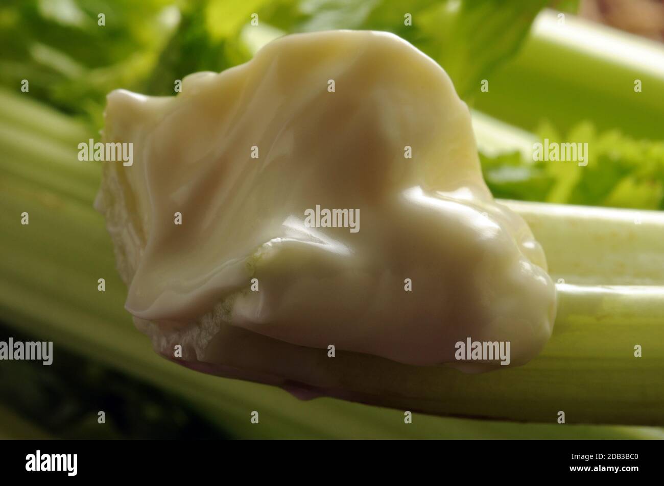 Close up on celery stick with mayonnaise Stock Photo