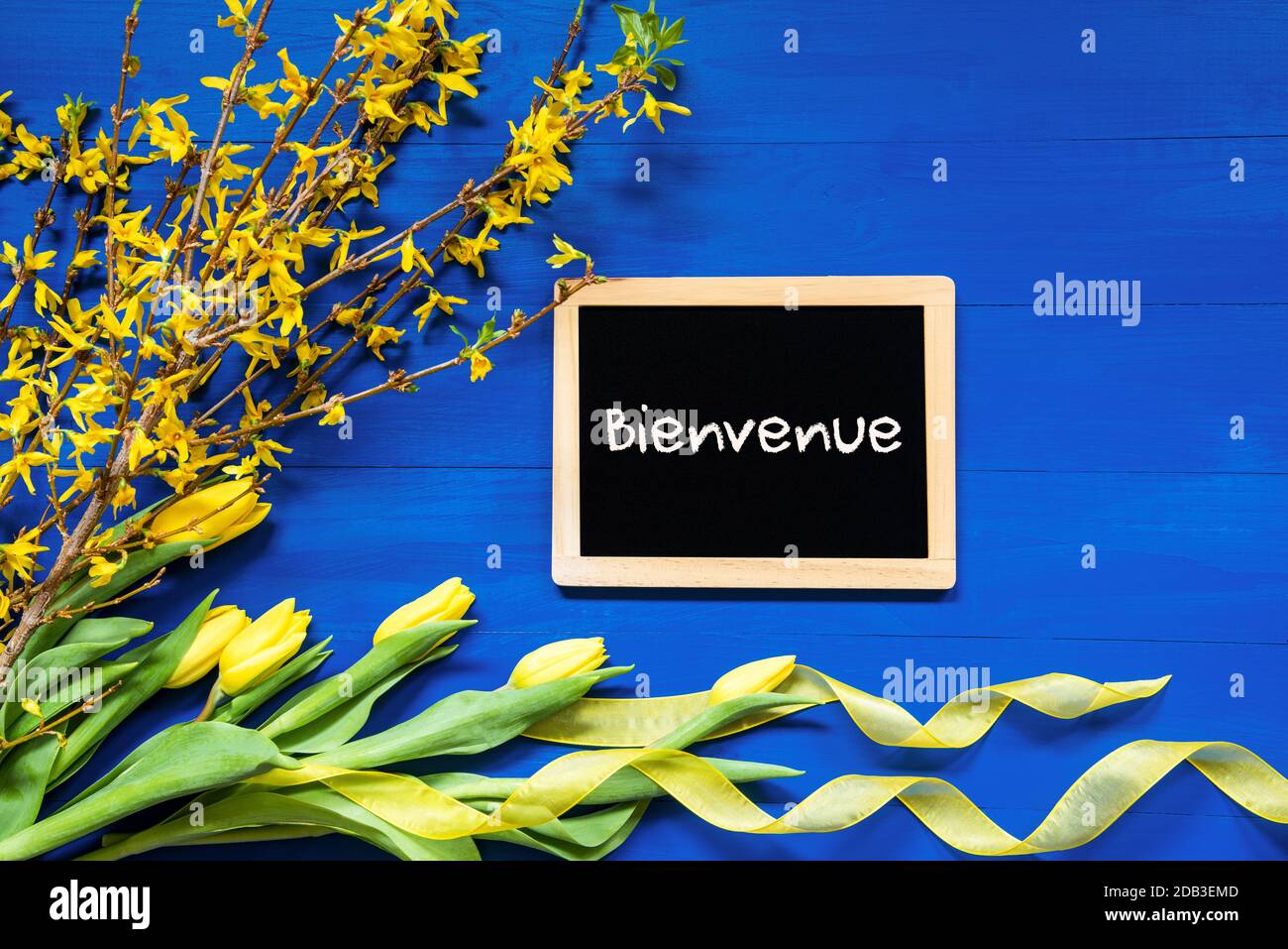 Blackboard With French Text Bienvenue Means Welcome. Yellow Spring Flowers Like Tulip And Branches. Festive Decoration With Ribbon. Blue Wooden Backgr Stock Photo