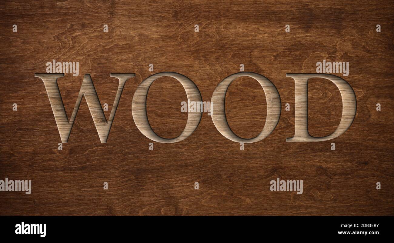 Word wood engraved in dark wooden board 3d wood texture with light and shadows Stock Photo