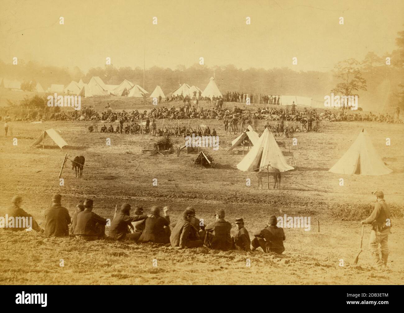 Confederate prisoners captured at the battle of Fisher's Hill, VA. Sent ...
