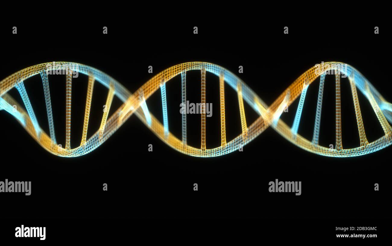3D illustration of DNA made by molecules called nucleotides. The four types of nitrogen bases
