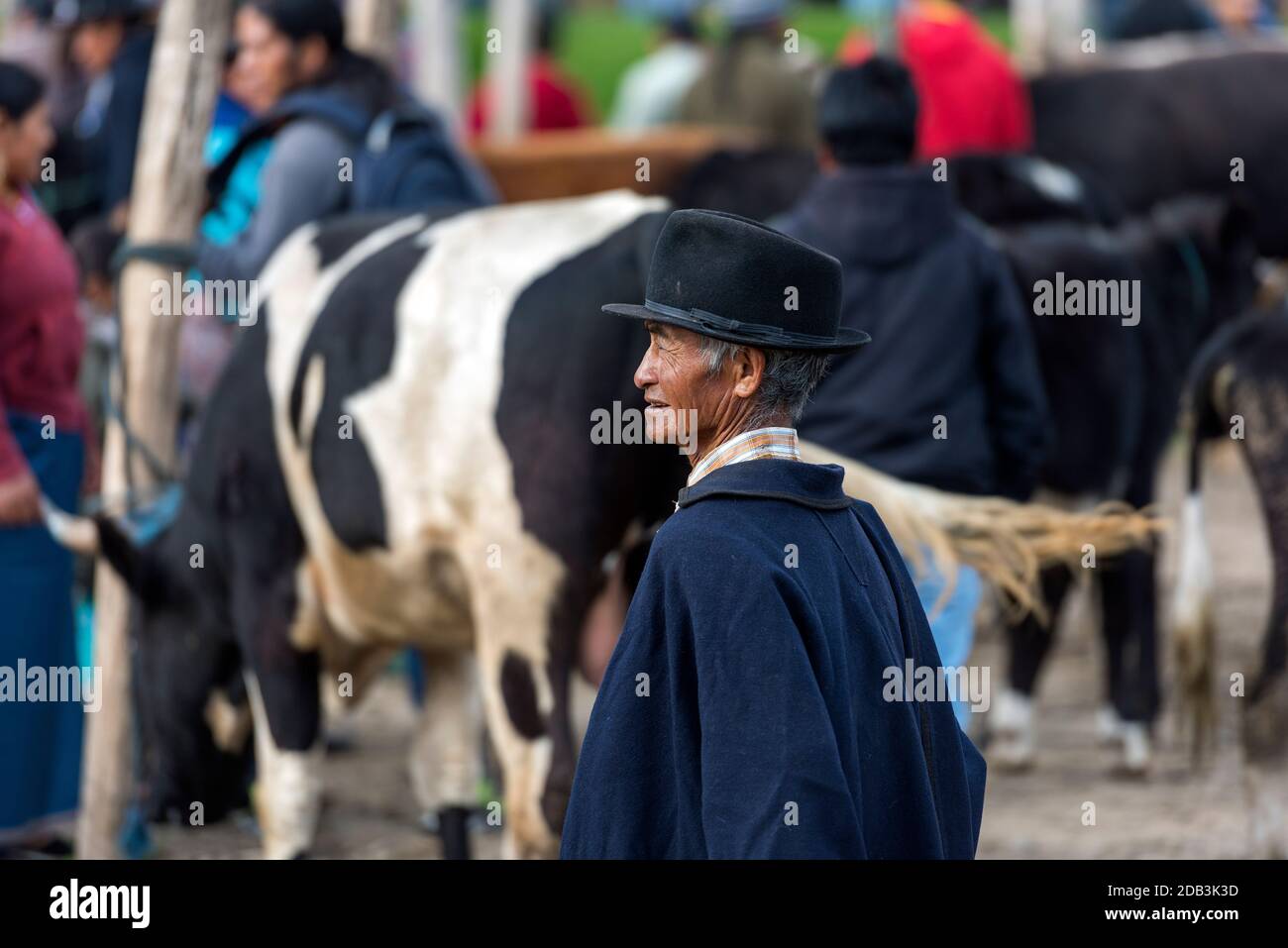 Otavalo, the small city which is famous about it's craft market and animal market Stock Photo