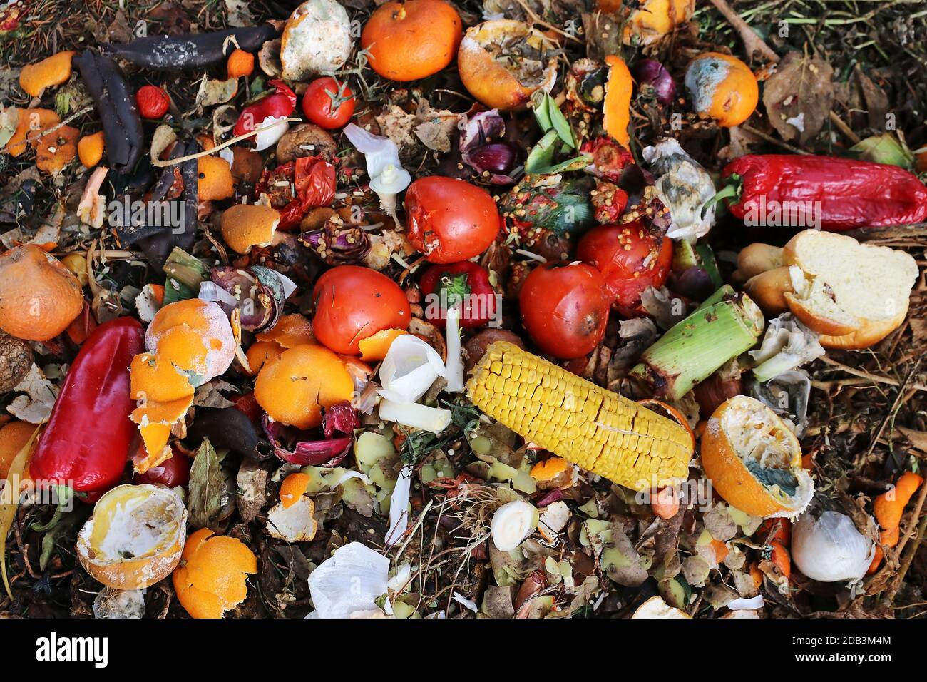 Discarded and spoiled food on a rubbish heap Stock Photo