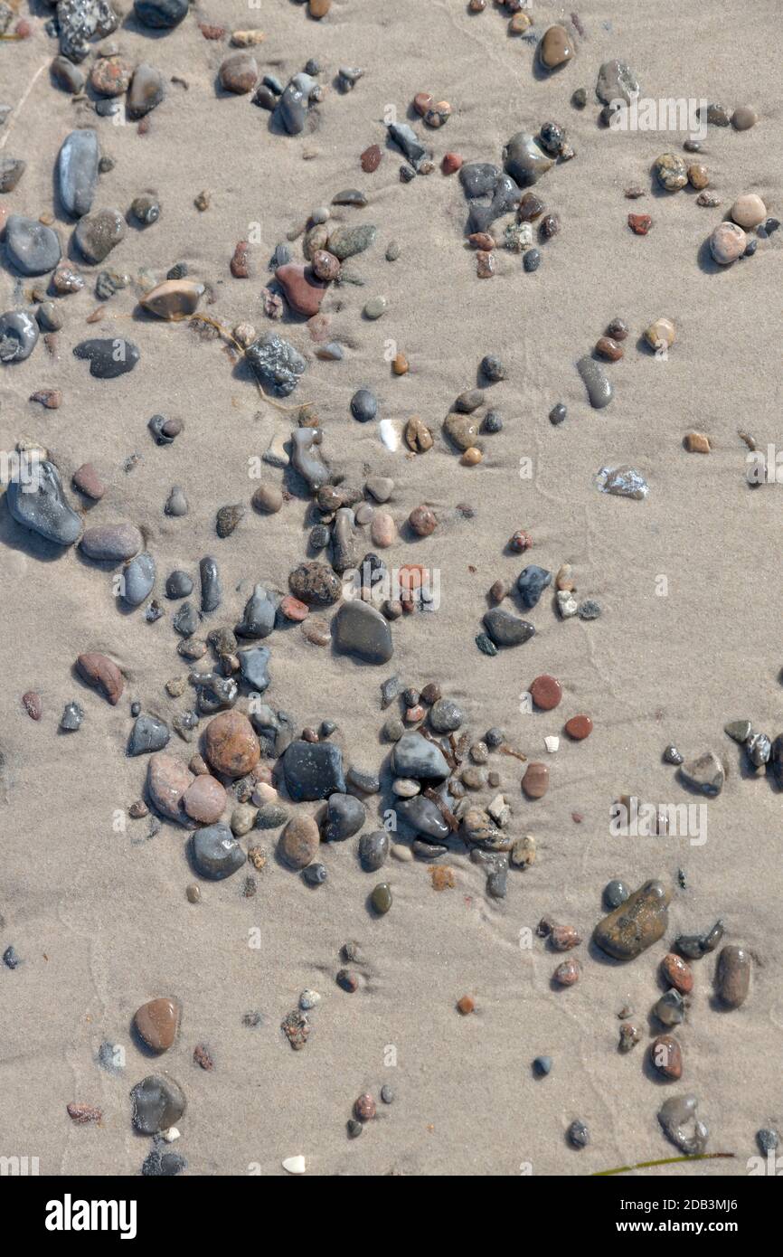 Sandy bottom on the seashore with pebbles and shells as a background Stock Photo