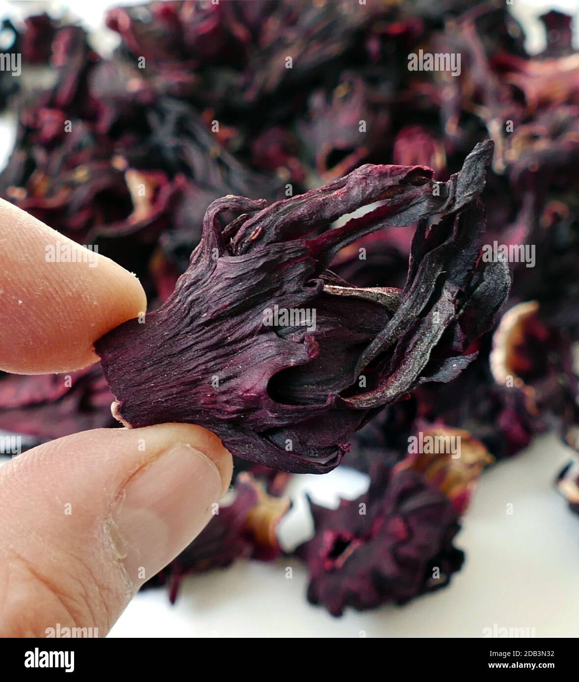 dried hibiscus flower for making medicinal herbal tea,hibiscus flower tea prepared in a glass