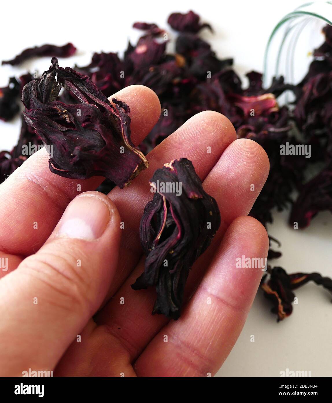 dried hibiscus flower for making medicinal herbal tea,hibiscus flower tea prepared in a glass