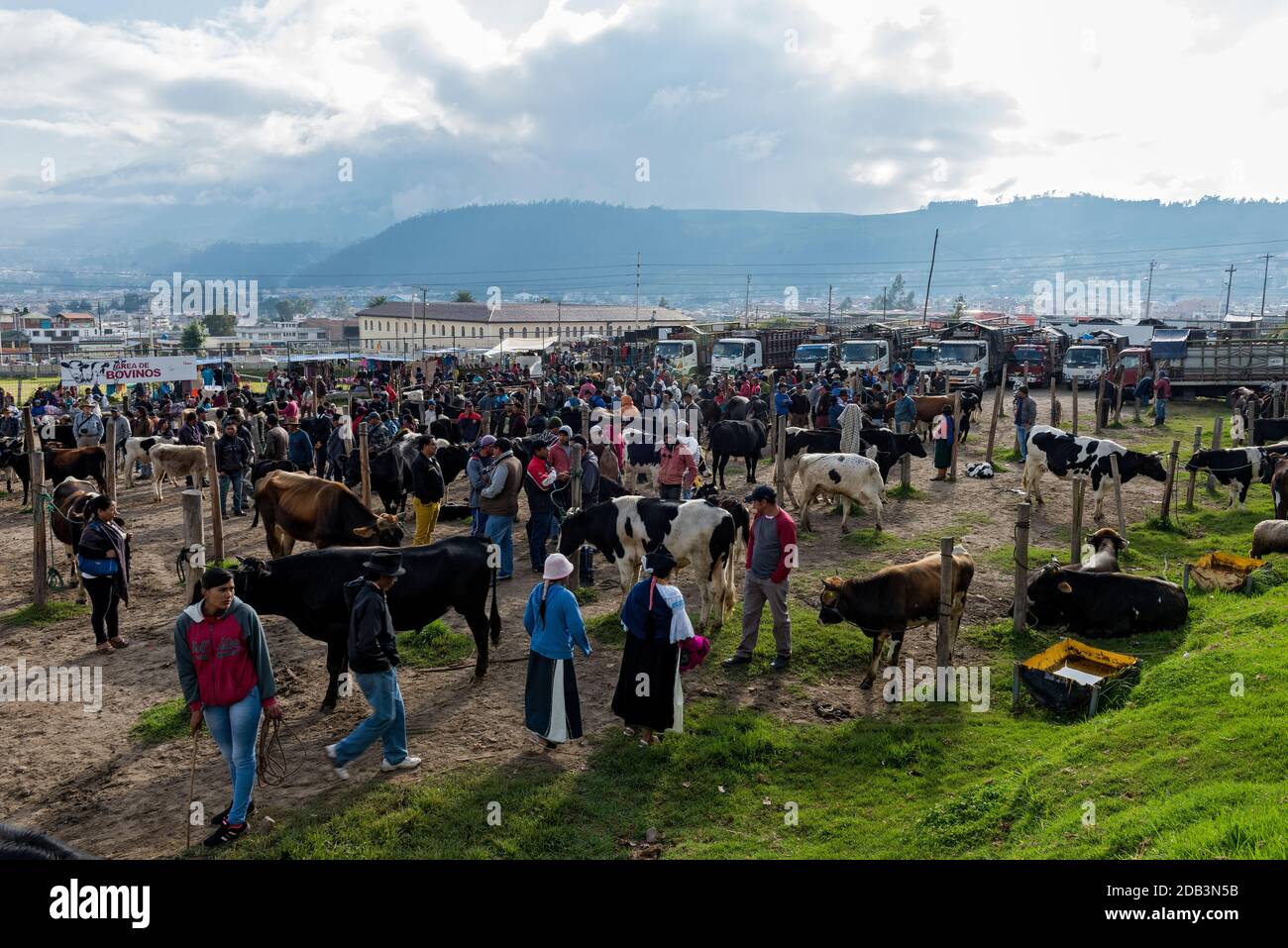 Otavalo, the small city which is famous about it's craft market and animal market Stock Photo
