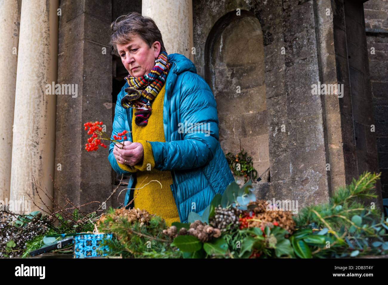 Haddington, East Lothian, Scotland, UK, Flowersmith prepares for Christmas:  Ruth Alder, a flowersmith, weaves willow into wreaths to decorate for Christmas using foliage and flowers from Amisfield Walled Garden where she is a volunteer. Amisfield Walled garden is an 18th century garden managed by the Amisfield Preservation Trust and is free to visit all year round. Pictured: Ruth attaches flowers and foliage gathered from the walled garden Stock Photo
