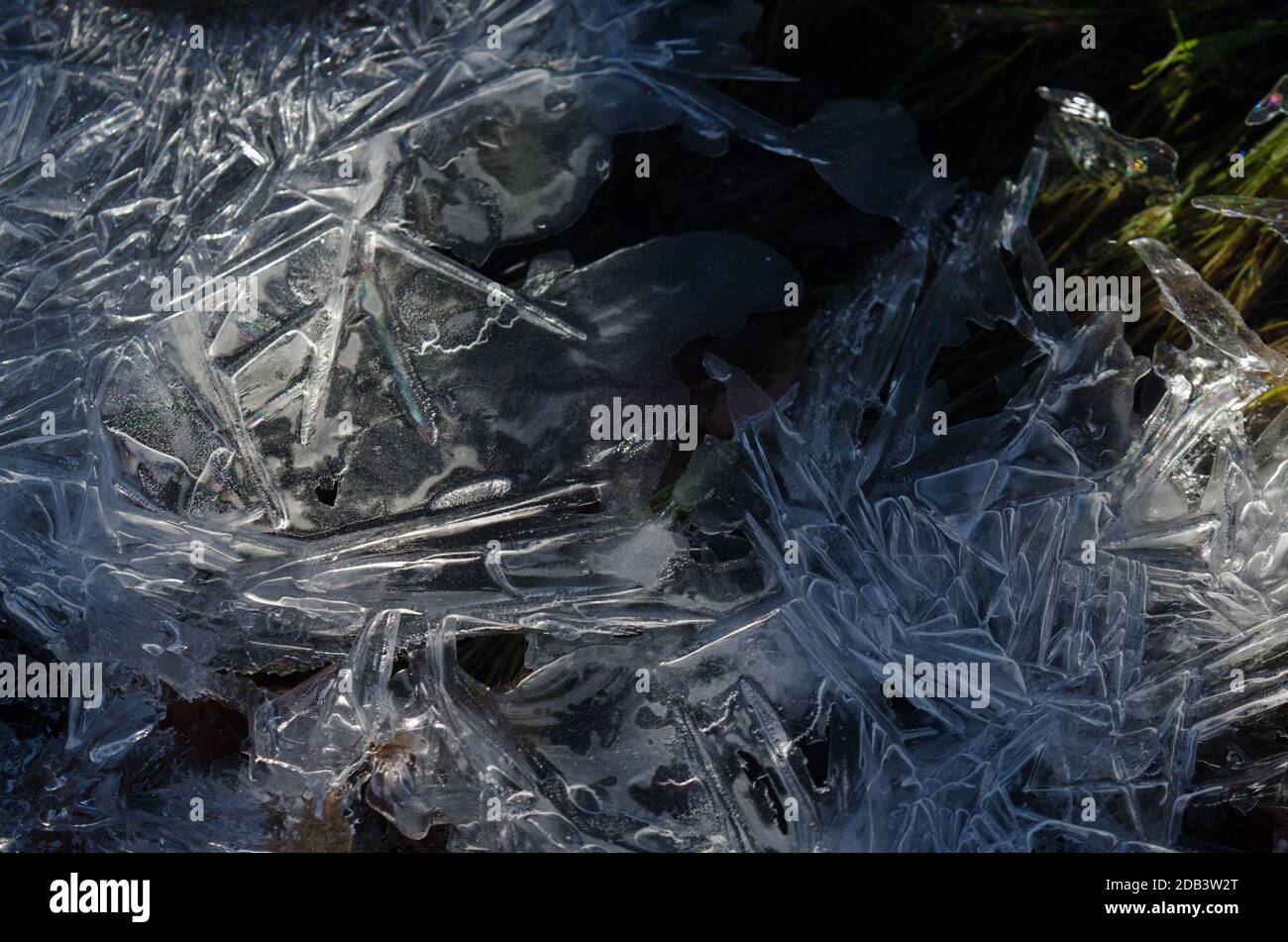 Photo of ice formation in dappled light. White strikes of ice with ...