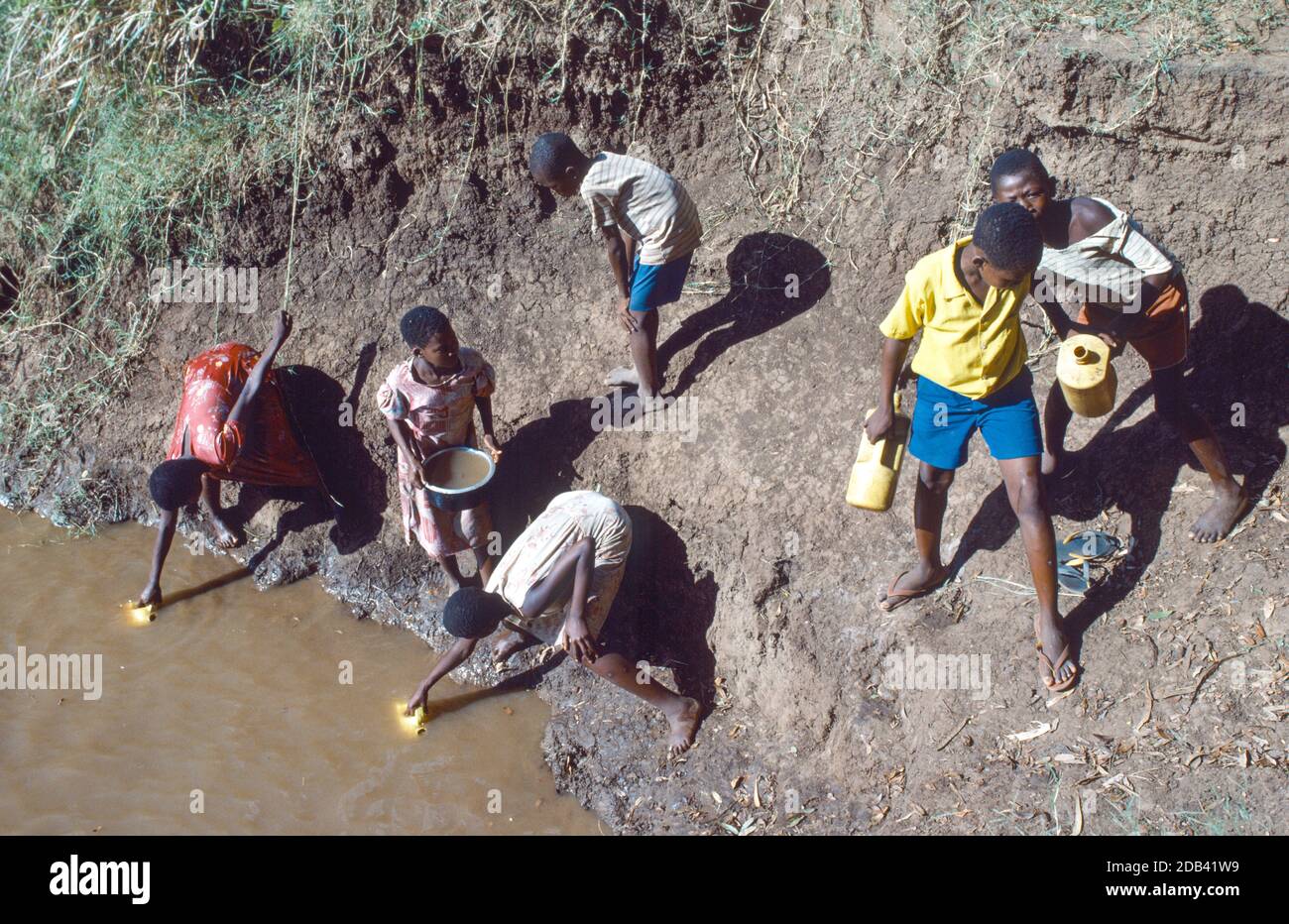 Pokoma children collecting unclean water from the Tana River, nr. Garsen, Tana River County, Kenya Stock Photo