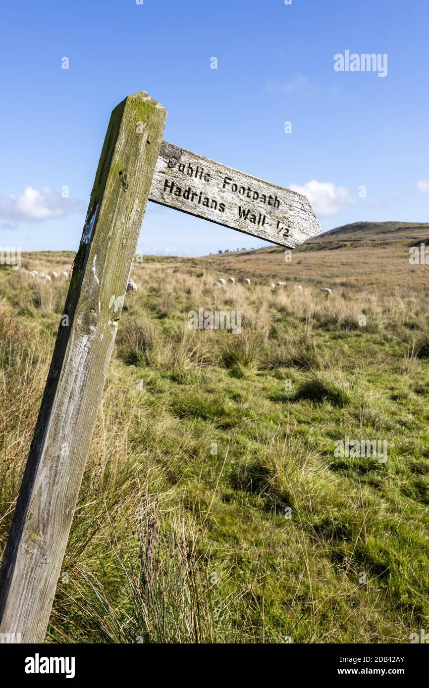 An old tilting wooden footpath sign pointing to Hadrians Wall near Walltown Crags, Northumberland UK Stock Photo