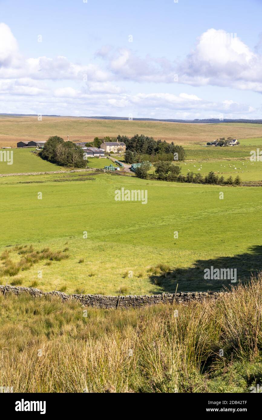 The remote upland farms of Low Tipalt and Farglow on the Pennines near Greenhead, Northumberland UK Stock Photo