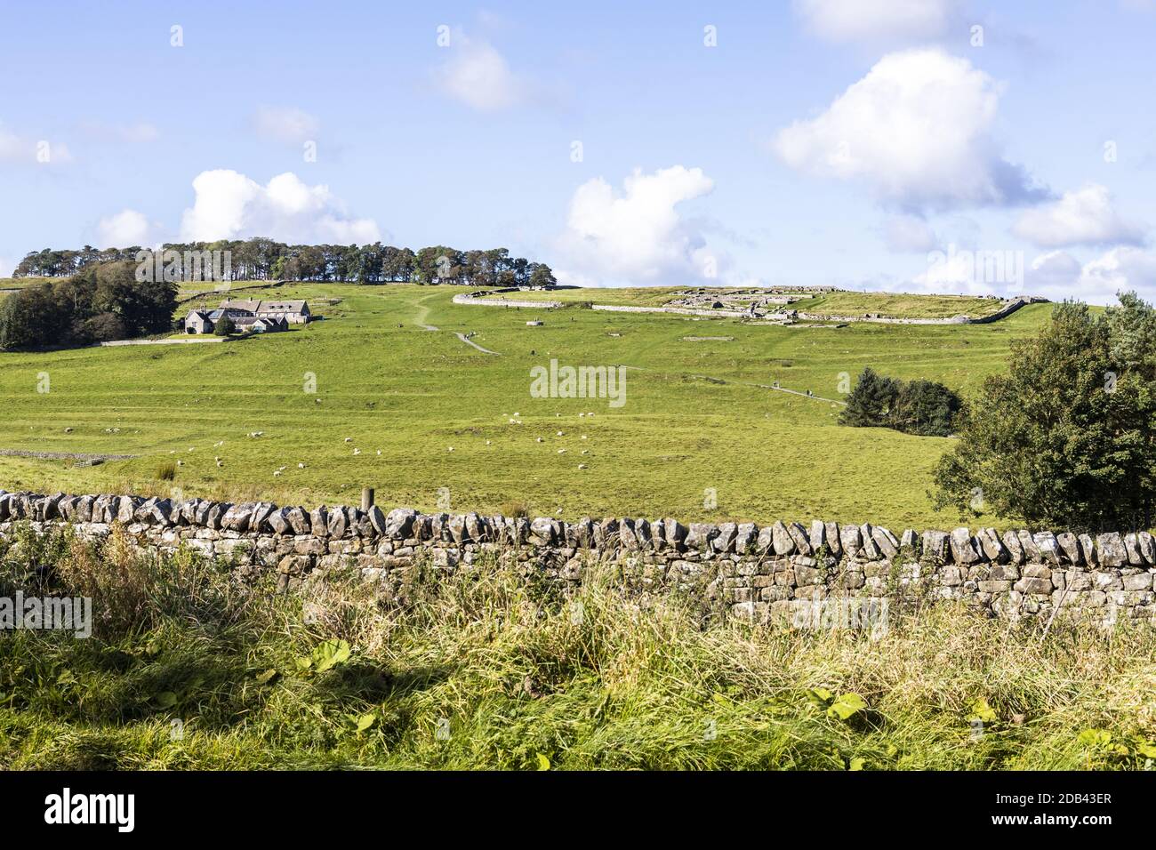 Vercovicium Roman Fort and Museum at Housesteads on Hadrians Wall near Bardon Mill, Northumberland UK Stock Photo