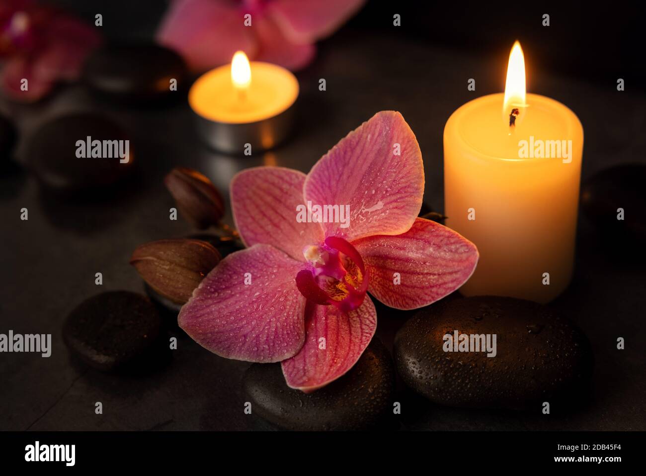 orchid flower with spa stones and candles. beauty treatment concept Stock Photo
