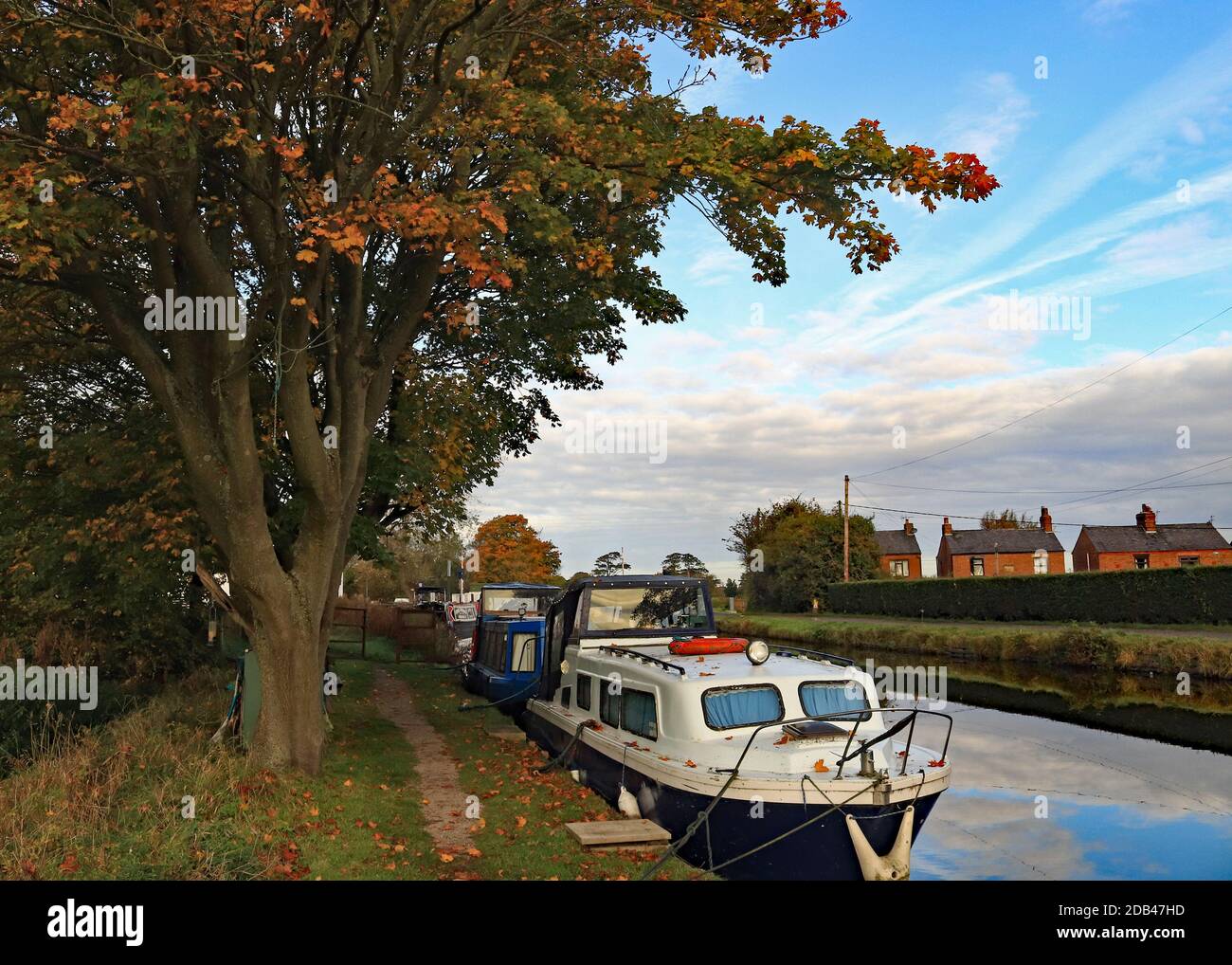 The sun catches the autumn colours against the blue skies over the canal boats moored at Crabtree Lane on the Leeds and Liverpool canal, Burscough. Stock Photo