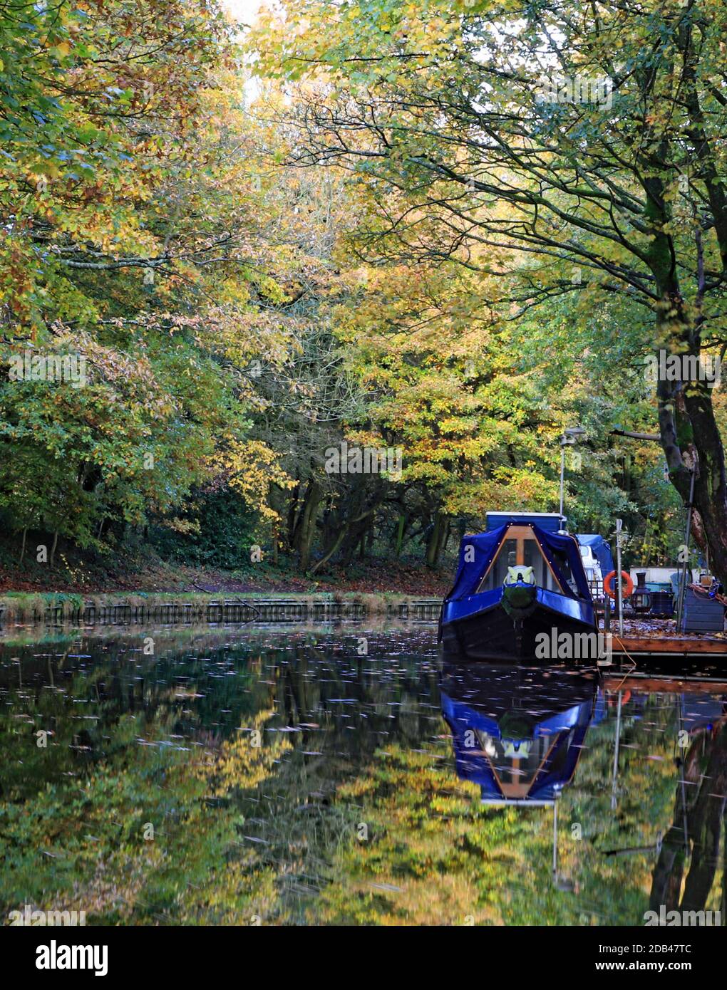 The autumn leaves are falling onto the reflected moored boats and trees into the waters of the Leeds and Liverpool near Adlington in Lancashire. Stock Photo