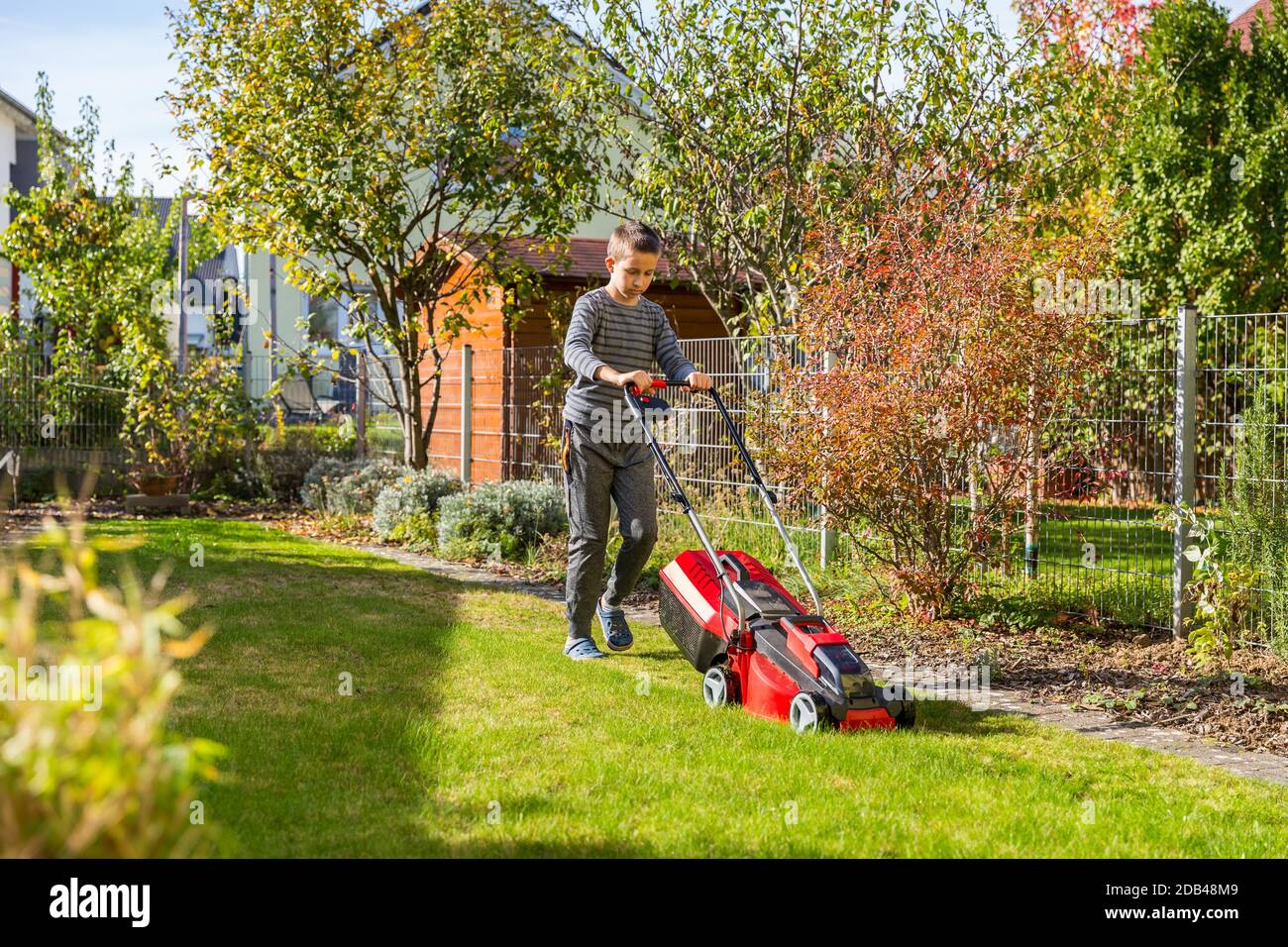 Boy cutting the grass with lawn mower in the garden Stock Photo Alamy