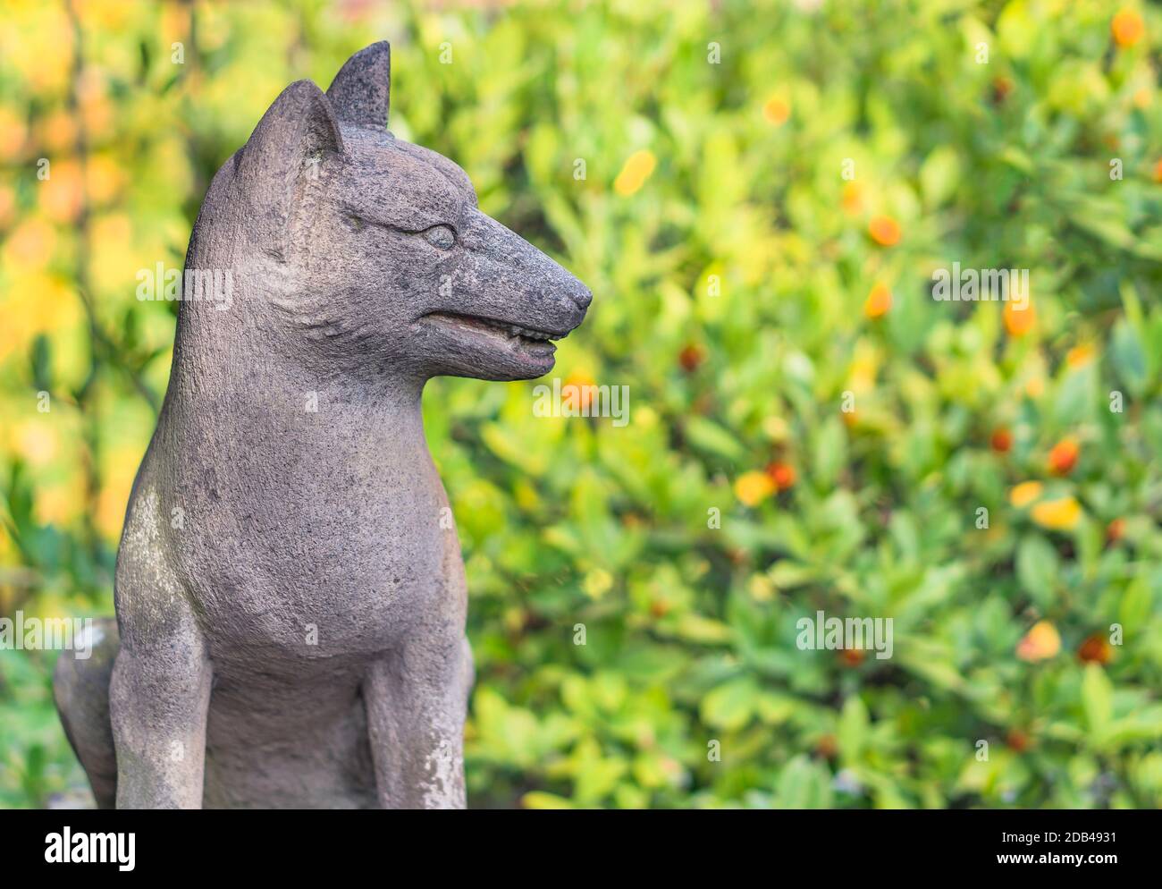 statue of foxes inari, deity of rice in the Shinto shrine of Mejiro Toyosaka Inari Jinja in Tokyo. Stock Photo