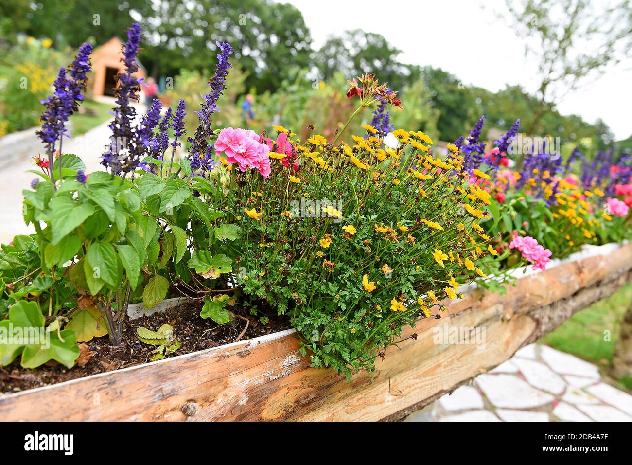 Ein wunderschöner Garten mit verschiedenen Blumenarten in