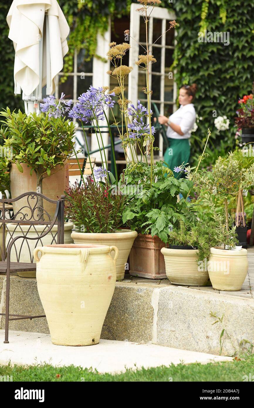 Ein wunderschöner Garten mit verschiedenen Blumenarten in