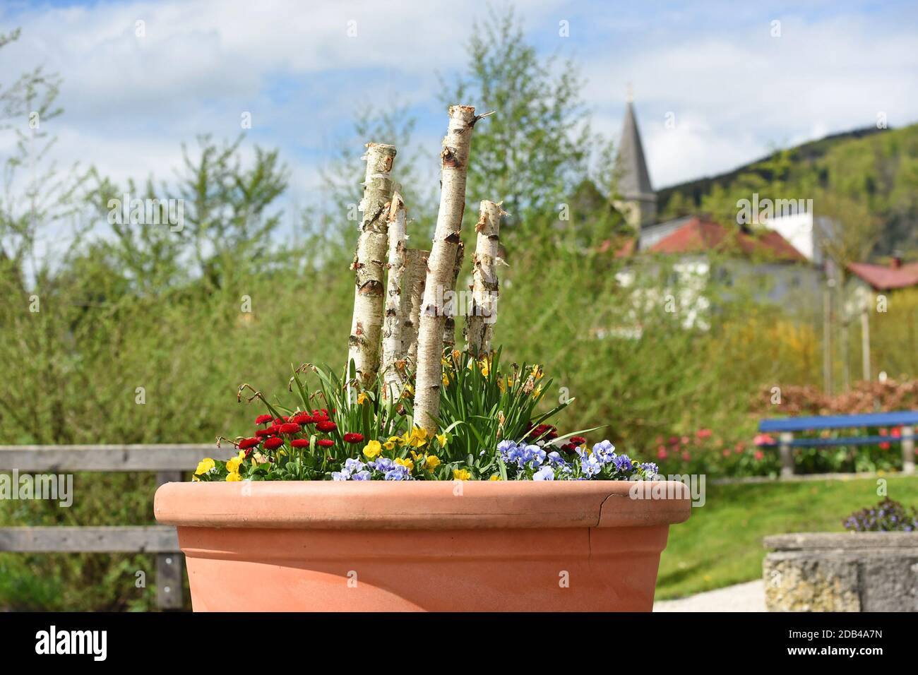 Blütenpracht und Frühlingsblumen in Altmünster - Bloom and spring flowers in Altmünster Stock Photo