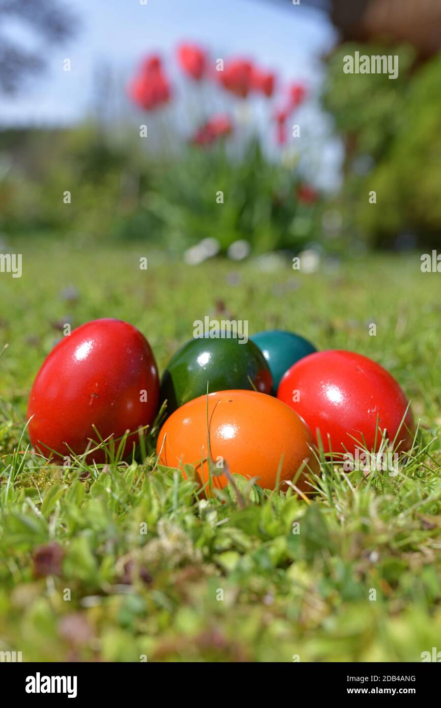 Das Verschenken von Ostereiern ist ein weit verbreiteter Brauch. Die Tradition vom Eierfärben geht bis ins Mittelalter zurück. - Giving away Easter eg Stock Photo