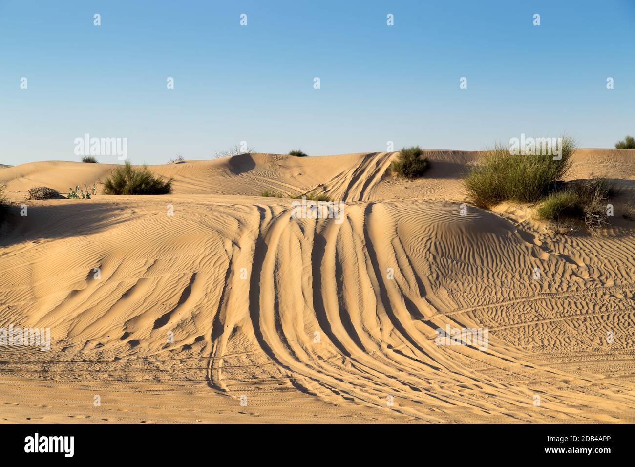 Cars traces on a sand road on the desert, offroad car rally competition ...