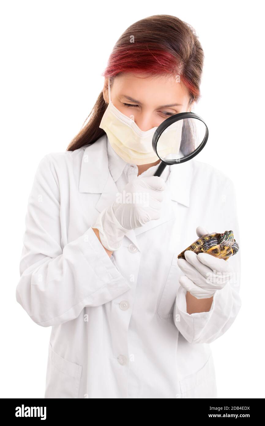 Young female veterinarian in white lab coat, surgical mask and latex gloves, examining a turtle