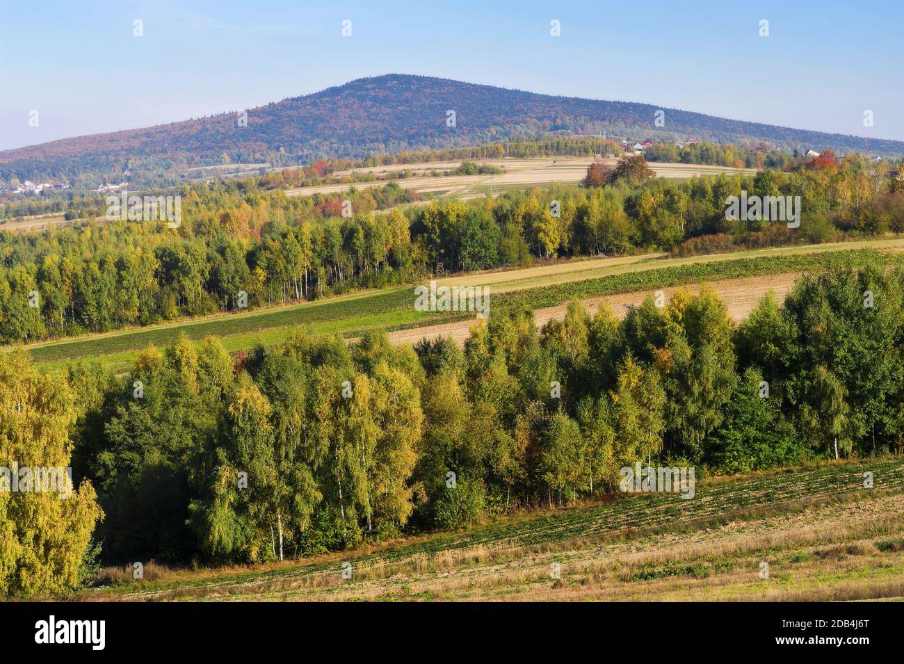 Rural landscape with view on Lysica mountain peak. Swietokrzyskie Mountains, Poland. Stock Photo