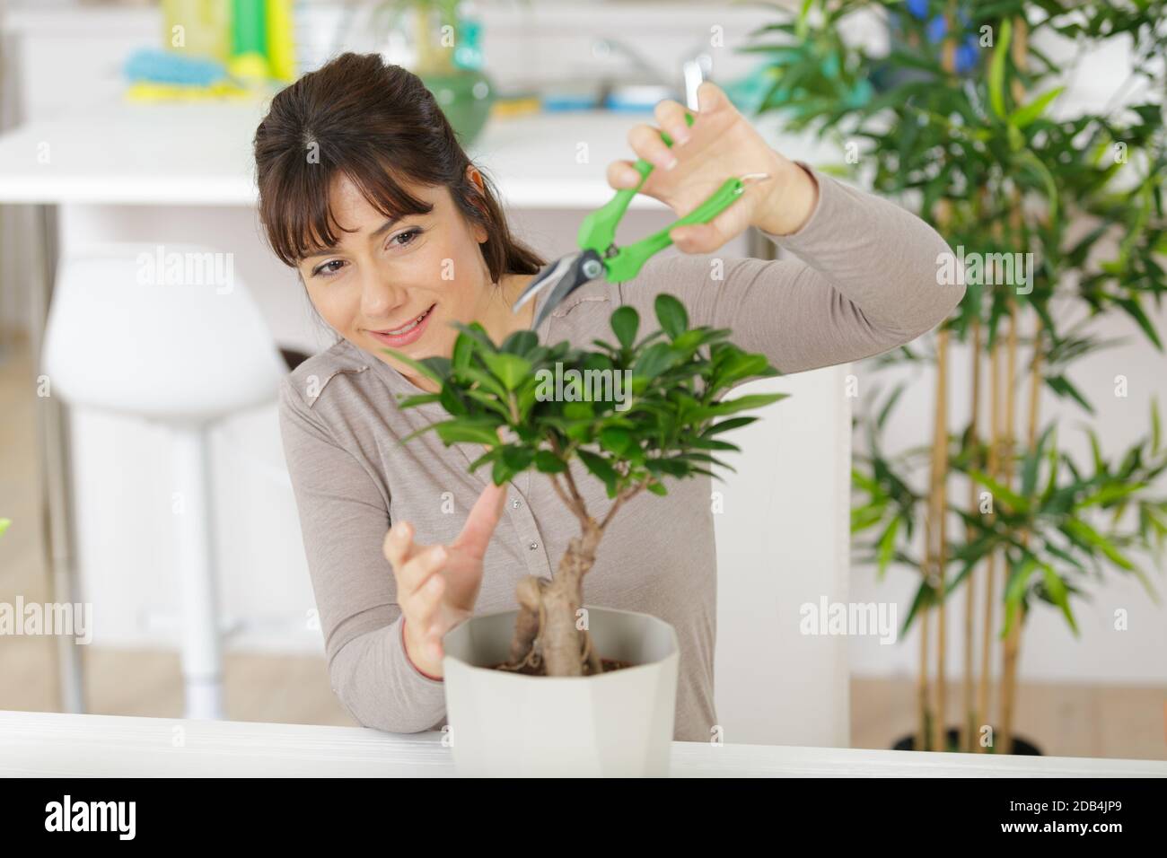 happy female nursery worker trimming plants Stock Photo - Alamy