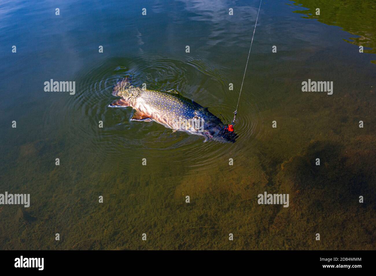 Spinning Spoon Fishing Stock Photo Alamy