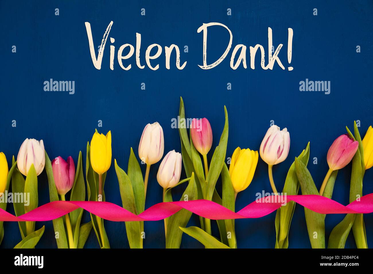 German Text Vielen Dank Means Thank You. White And Pink Tulip Spring Flowers With Ribbon. Blue Wooden Background Stock Photo
