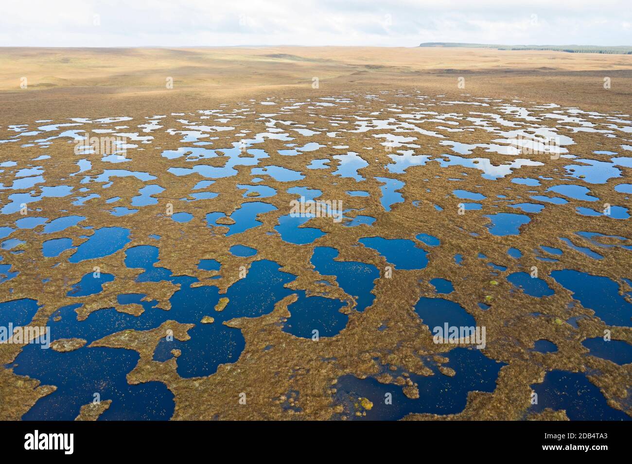 Peatland pools in blanket bog at Forsinard RSPB Reserve, Flow Country, Northern Scotland, autumn. Stock Photo