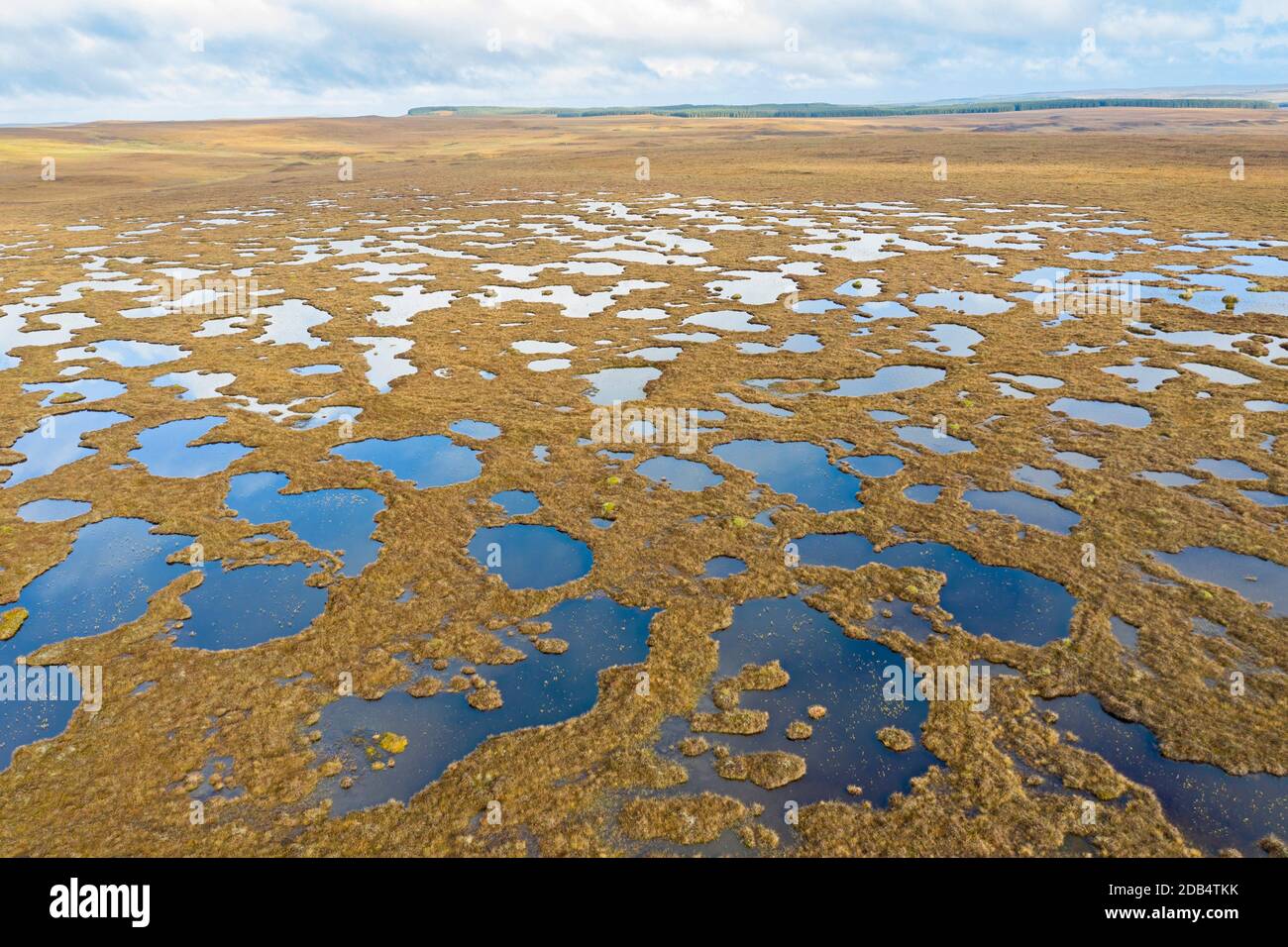 Peatland pools in blanket bog at Forsinard RSPB Reserve, Flow Country, Northern Scotland, autumn. Stock Photo