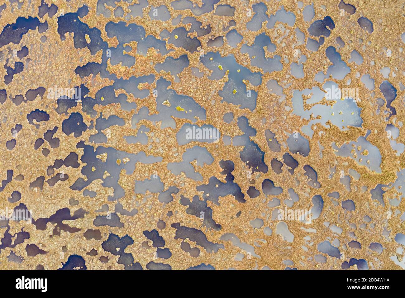 Aerial view of Peatland pools in blanket bog at Forsinard RSPB Reserve, Flow Country, Northern Scotland, autumn. Stock Photo