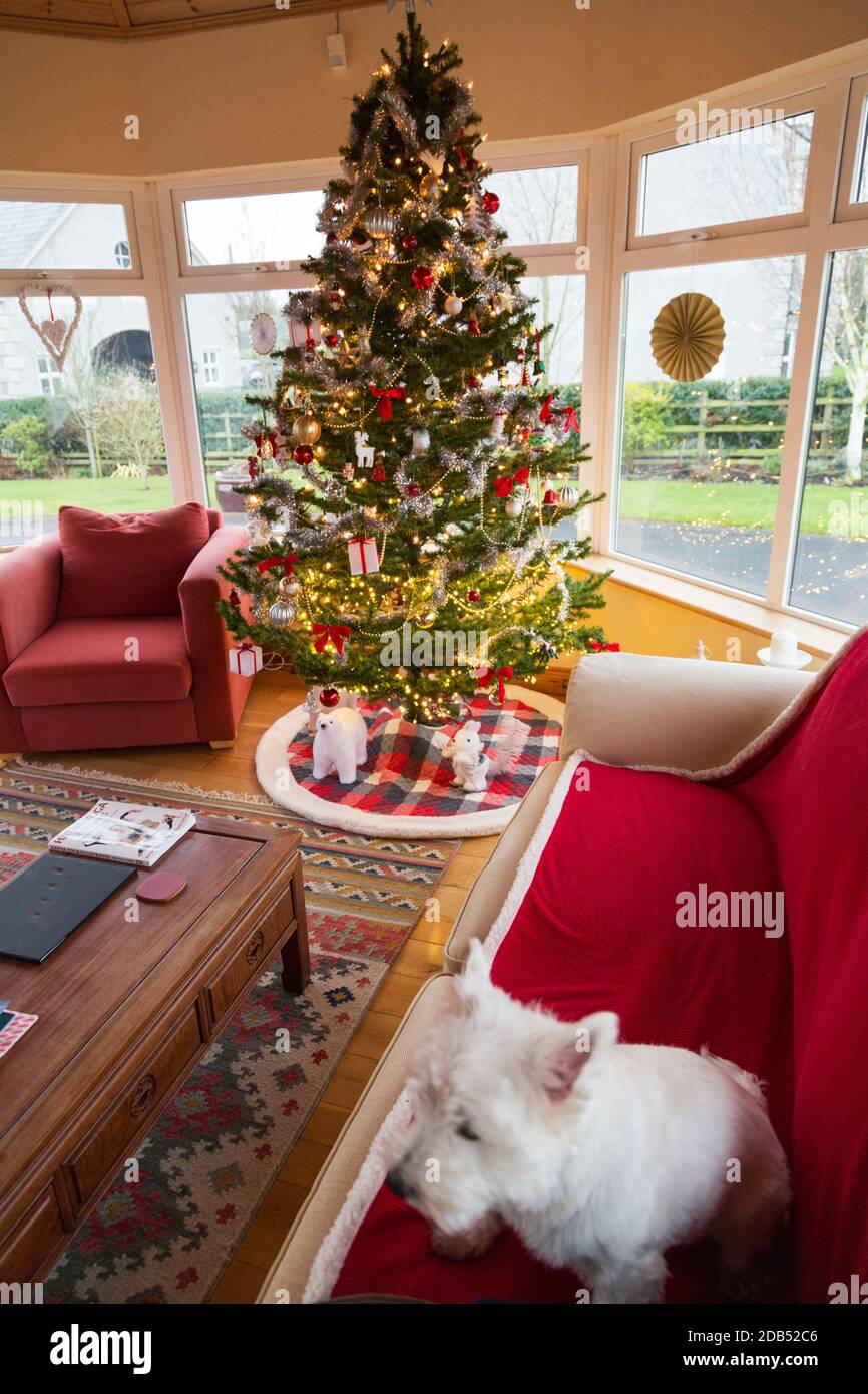 Sparkling decorations and Christmas lights festoon an indoor Christmas