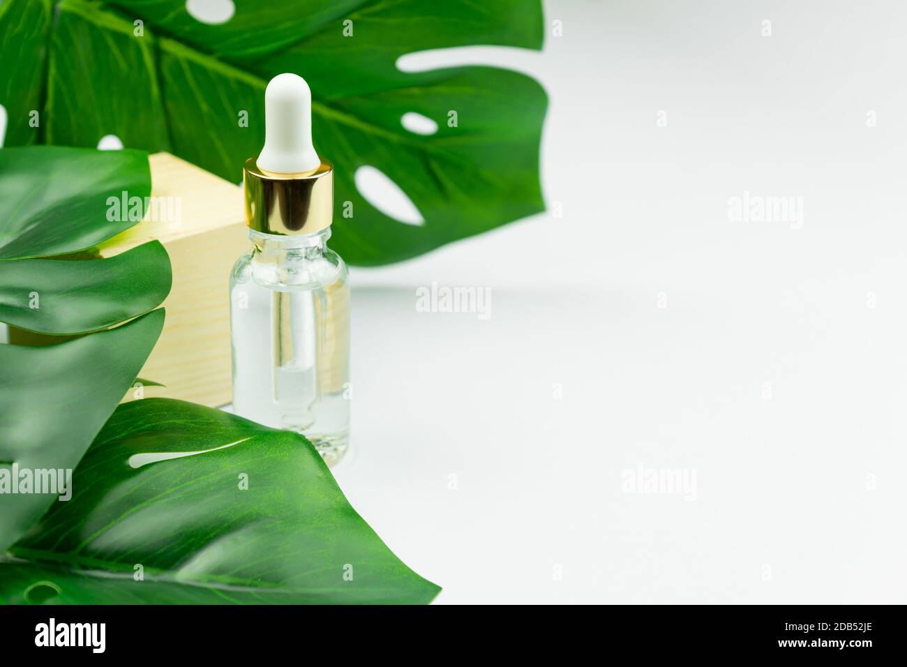 Serum bottle near palm leaf. Trendy beauty product for young skin