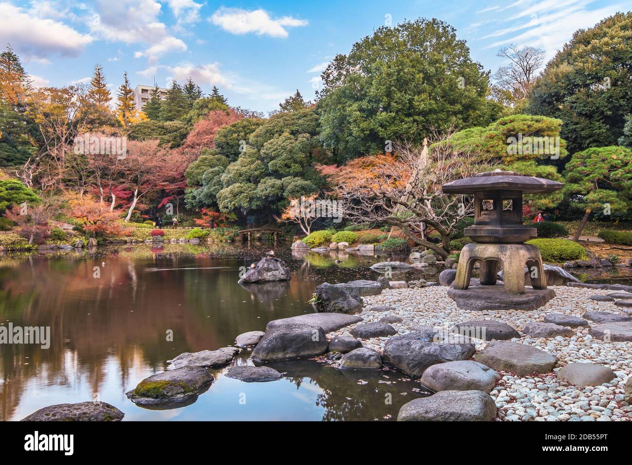 Tokyo Metropolitan Park KyuFurukawa's japanese garden's Yukimi stone lantern overlooking by red maple momiji leaves in autumn. Stock Photo