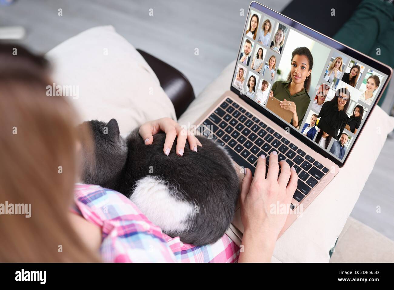 Group telework hi-res stock photography and images - Alamy