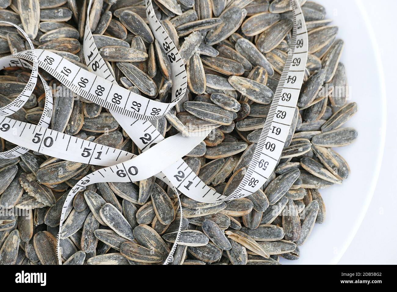 dry roasted and salted sunflower seeds quickly gain unhealthy weight