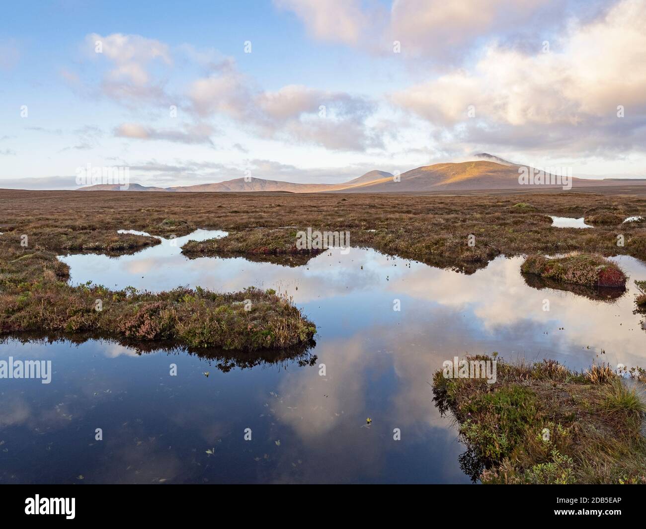 Peatland pools on the Dubh Lochan trail over  blanket bog at Forsinard RSPB Reserve, Flow Country, Northern Scotland, autumn. Stock Photo