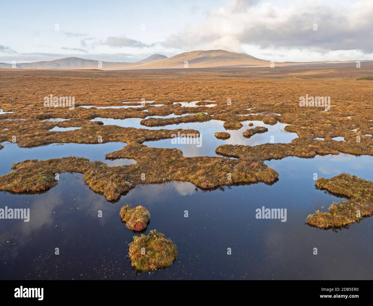Peatland pools on the Dubh Lochan trail over  blanket bog at Forsinard RSPB Reserve, Flow Country, Northern Scotland, autumn. Stock Photo